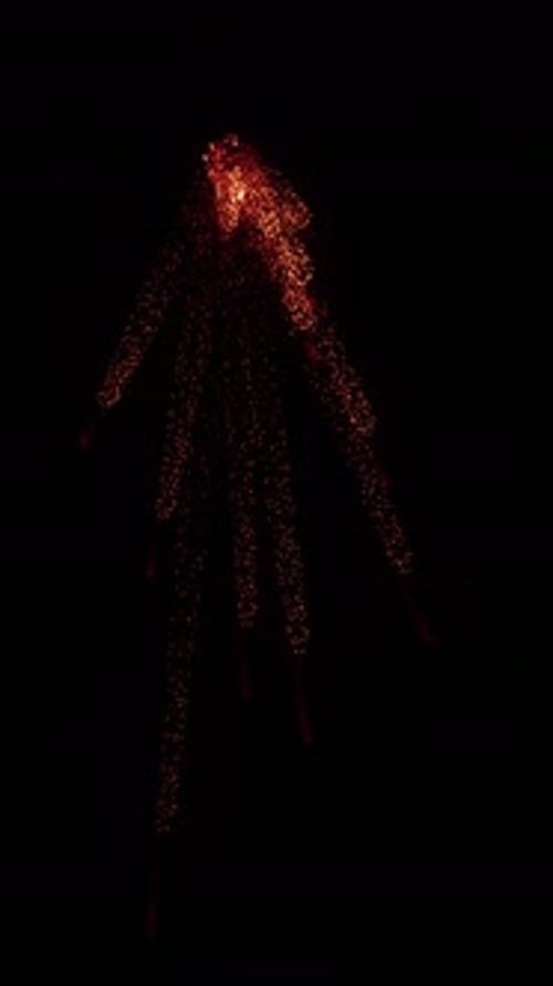 Aerial Sparks Explosion (35)