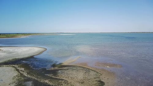 Sandy Bay With Flocks Of Birds.