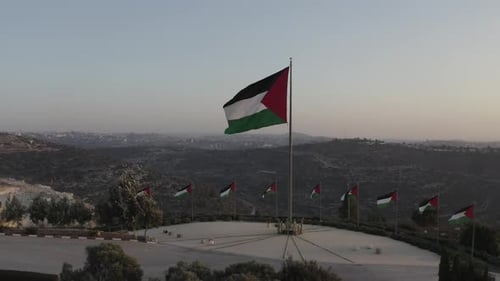 Palestinian Flags Waving Over Hillside Landscape at Sunrise