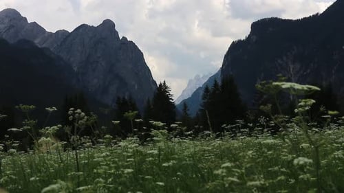 Weitblick auf die wunderschönen italienischen Dolomiten von einer blühenden Wiese aus. Helles Wetter mit weißem Schleier