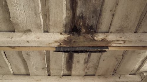 Leaking wooden ceiling with huge hole and rotten plank in handheld view