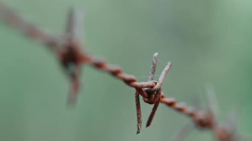 Barbed Rusty Wire for Animals Custody in the Countryside
