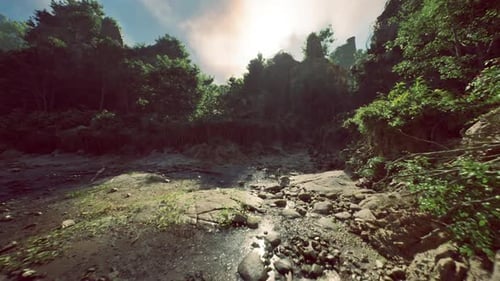 Reflective Rainforest Pool Bordered By Pebbles and Vibrant Foliage