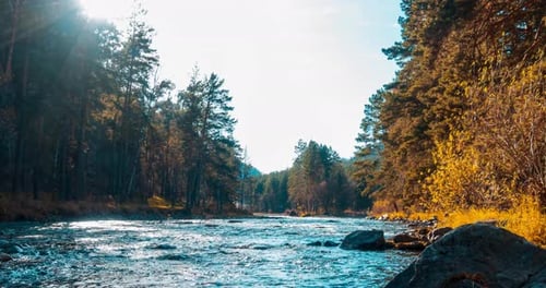 Mountain River Timelapse at the Summer or Autumn Time Wild Nature Clear Water and Rural Evergreen