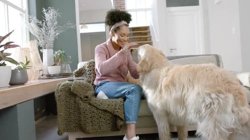 Smiling Woman Pets Fluffy Golden Retriever Dog
