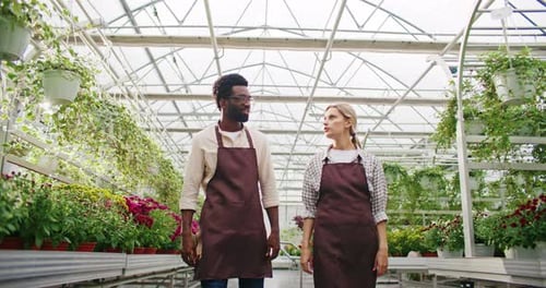 Adults Walking in Lush Greenhouse Full of Flowers