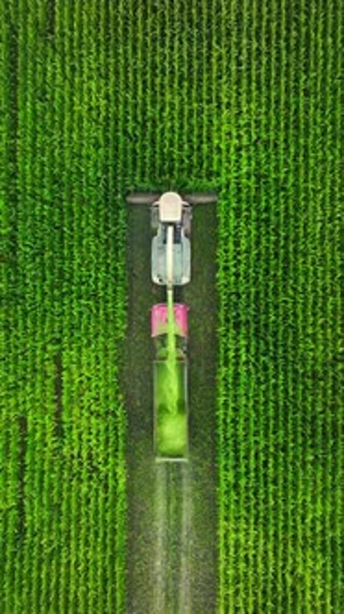 A Powerful Modern Combine Harvester Harvests Corn From Agricultural Land. View From Above