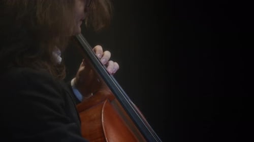 Orchestra Cellist Playing Music at Concert
