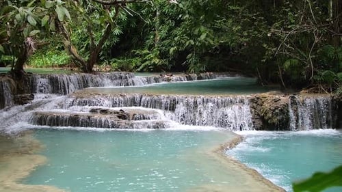 Belle cascade claire dans la forêt tropicale