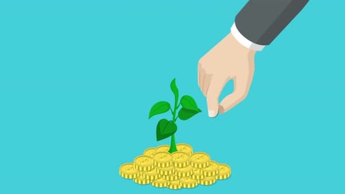 Money Tree Coin Plant For Save Money 4K