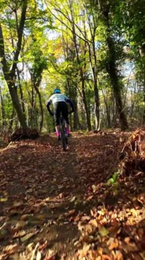Cyclist Riding an Electric Mountain Bike Through a Lush Forest Trail on a Sunny Day