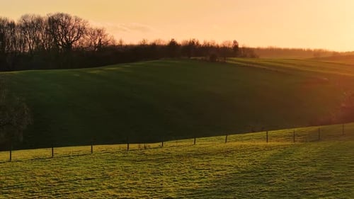 Rolling Green Hills and Scattered Trees Illuminated By Golden Glow of Sunset Idyllic Farmland and