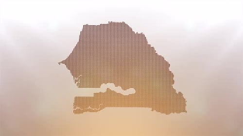 Dynamic Pixel Grid Map Reveal Animation