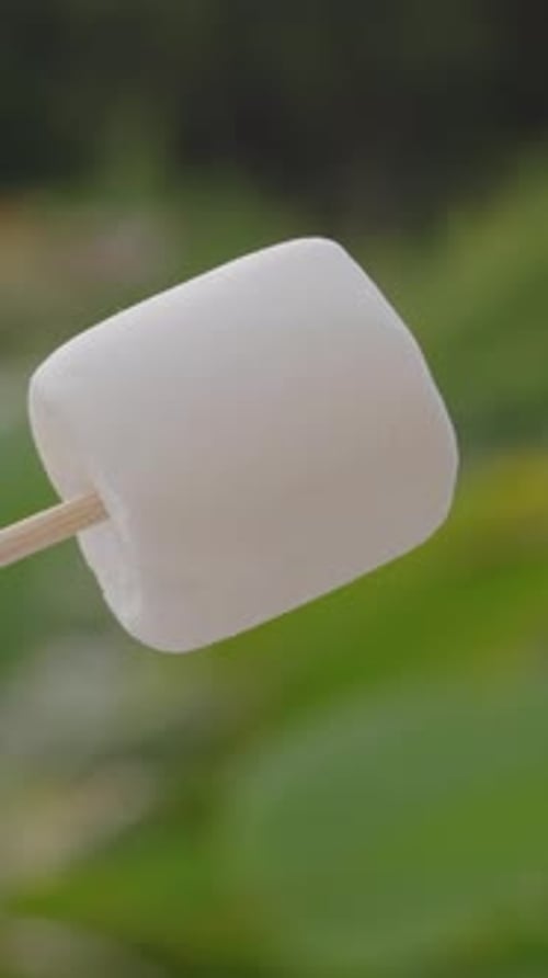 Vertical video. Fresh Untoasted Marshmallow on Wooden Stick Against Green Outdoor Background, close