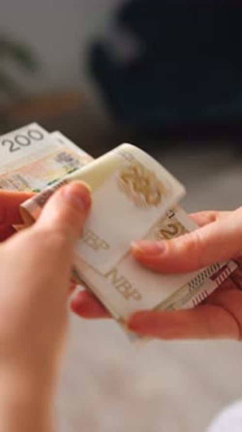 Female Hands Counting Polish Zloty Bills Closeup Vertical