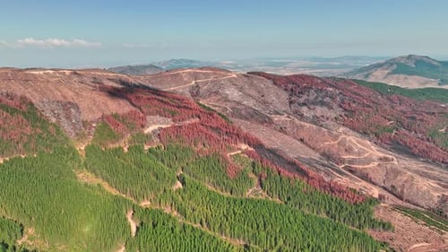 Aerial View of Fire-Damaged Mountainside Landscape