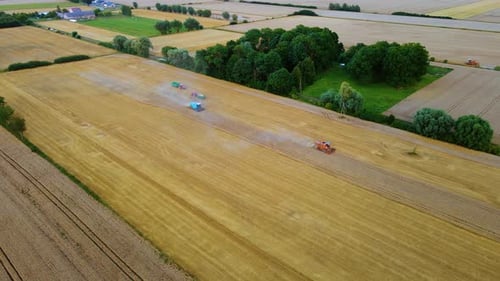 Combines in Field Aerial View of Harvesters Season of Gathering Crops Tractors with Trailers