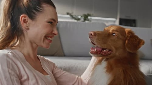 Happy Pet Owner Laughing Enjoying Dog at Home Close Up Woman Caressing Animal