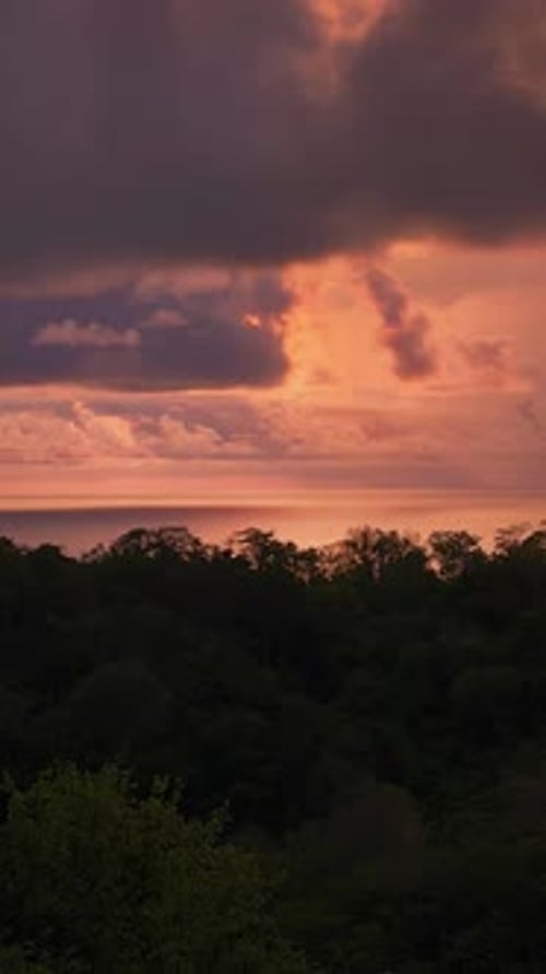 Clouds at sunset over the forest