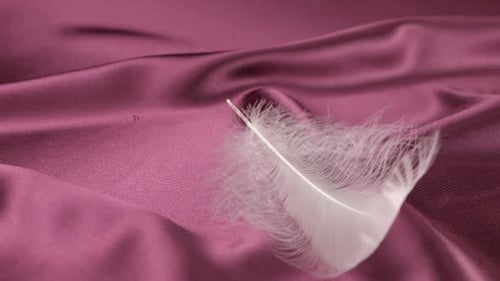 Soft White Feather Landing on Purple Satin