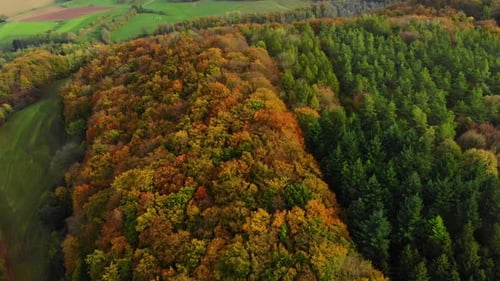 drone flight over beautiful autumn colored forest and autumn landscape