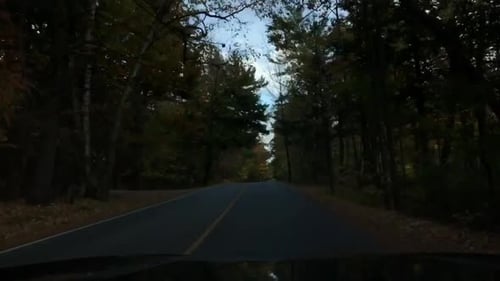 Lapso de tiempo entre coche, camino y árbol.