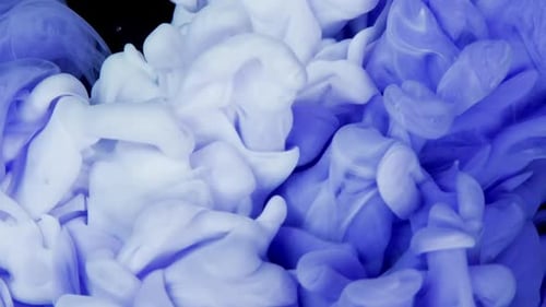 Abstract Blue and White Ink Swirls on Black