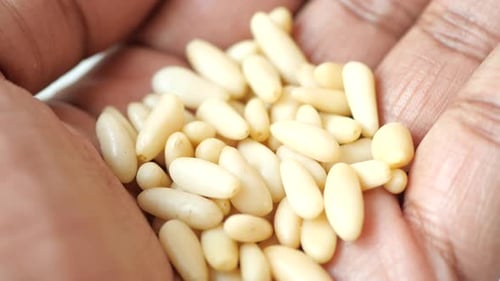 Healthy Pine Nuts on Hand