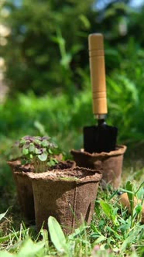 Garden Concept Seeds Pots and Little Instruments Like a Shovel and Rake on Green Background