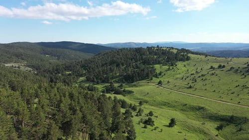 Vue aérienne des arbres, des collines et de la route forestière