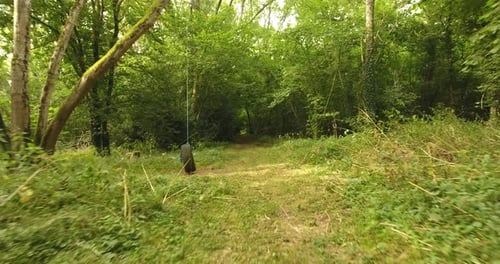 Trees grown around a pathway for access through a forest