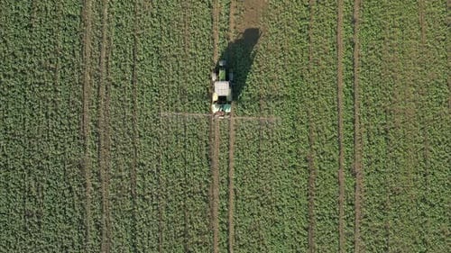 Tractor Sprays The Field Top View