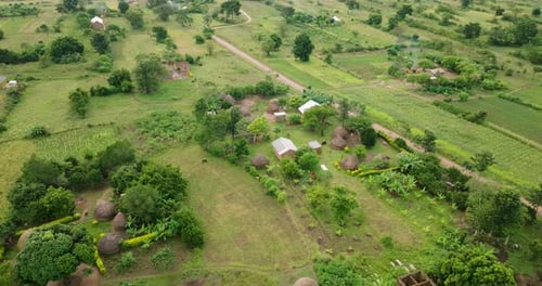 Aerial view of rural village and fields, Uganda.