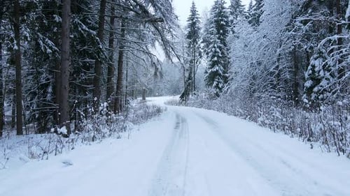 Driving through the forest on snow covered road. Empty road with no traffic. POV