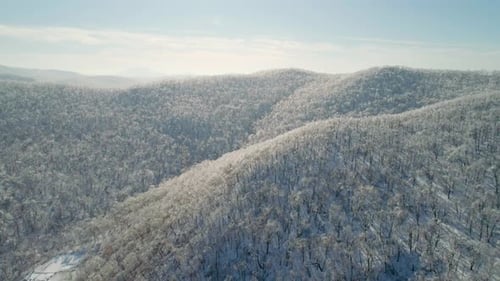 Aerial Winter Mountain Landscape of a Frozen Forest with Snow and Ice Covered Trees on a Sunny
