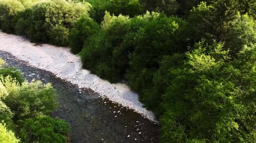 aerial view of a forest landscape with a magnificent river, wild landscape