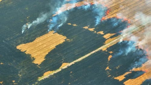 Burning of agricultural land from an aerial view, Drone