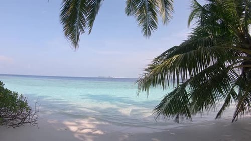 Secluded restful beach with rippling ocean waves and palm tree leaves