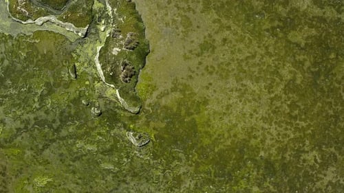 4K-Drohnenaufnahmen von üppigem Grünland an der Westküste Südafrikas