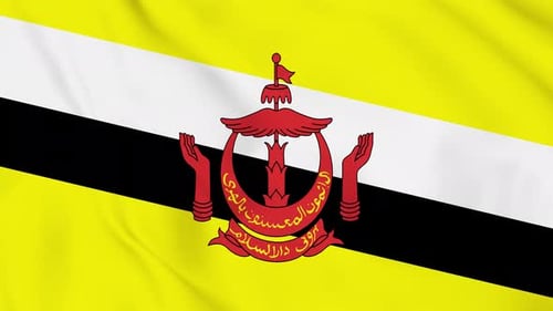 Waving Brunei National Flag Animation