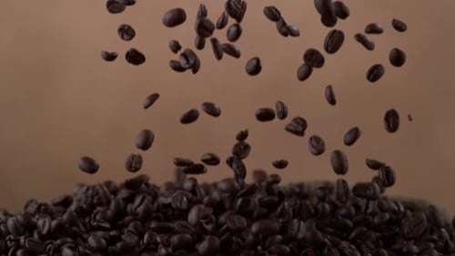 Falling Roasted Coffee Beans Filling Burlap Sack