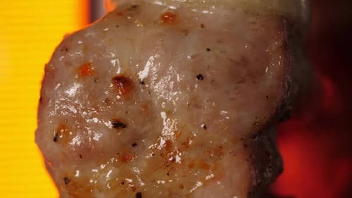 Succulent Shish Kebab Cooking on a Rotating Grill