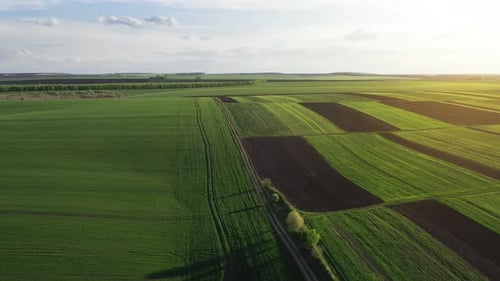 Distant aerial view of beautiful agricultural field at daytime. Rural landscape