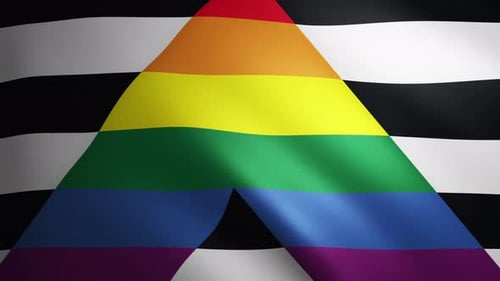 Straight Ally Pride flag with fabric texture that moves in the wind. Smooth movement of the waving