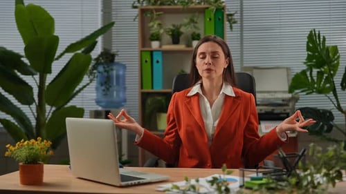 Older Adult Businesswoman Works at Office Woman Sitting at Desk Working on Laptop Woman Doing