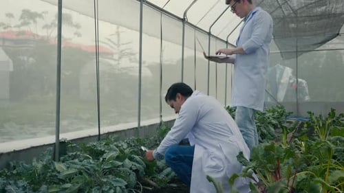 Scientists Examining Plants Inside a Greenhouse