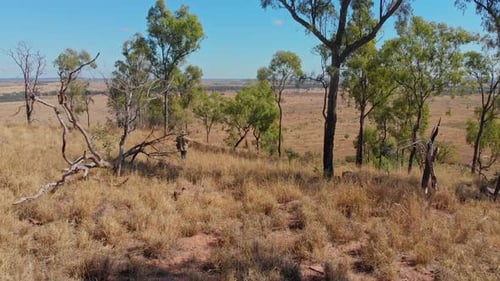 Aerial view of dry outback landscape with farming, Australia.