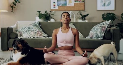 Woman Meditating at Home With Dogs