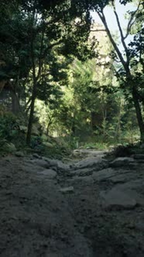 Serene Dirt Road Surrounded By Trees and Rocks