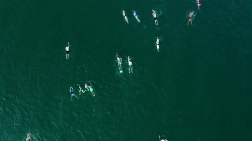 Large group of Swimmers crossing the Sea of Galilee, Aerial view